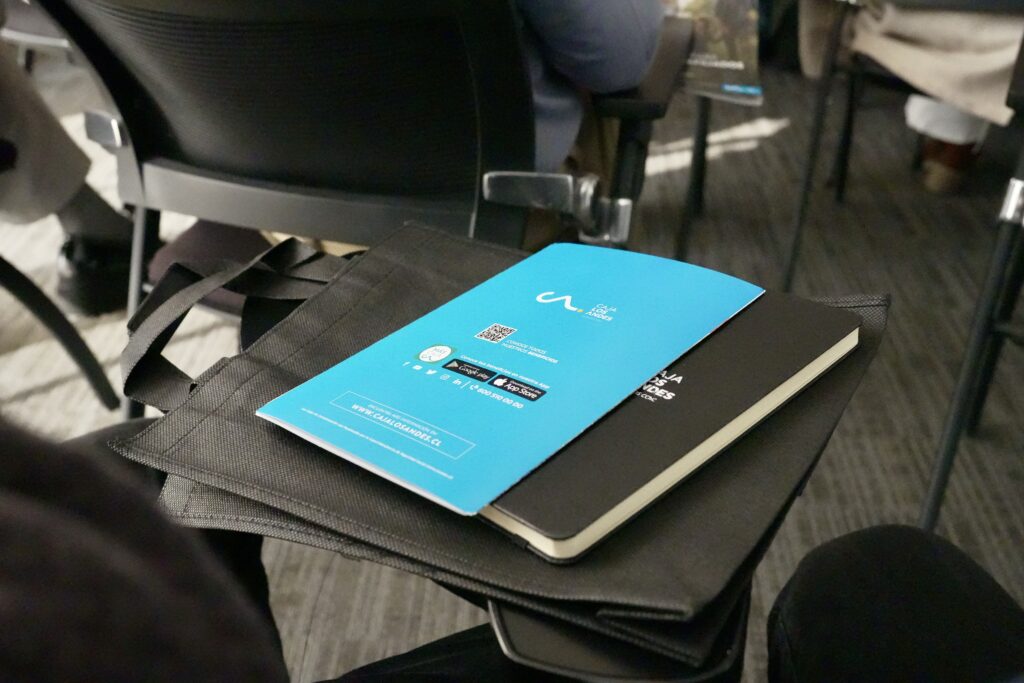 Caja Los Andes SLEP Santiago Centro15