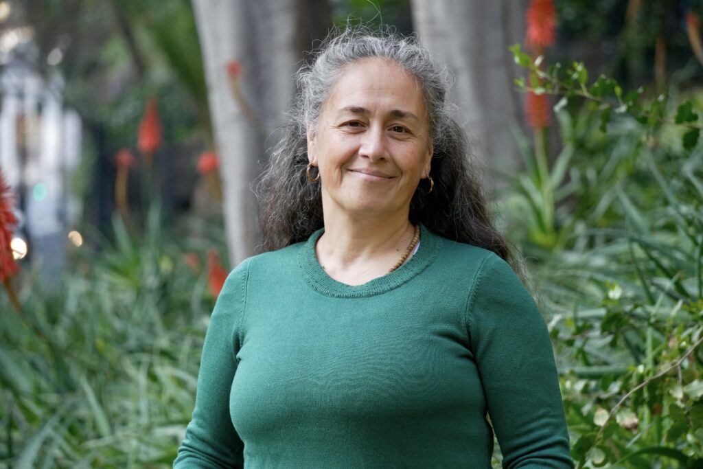 liceos emblemáticos