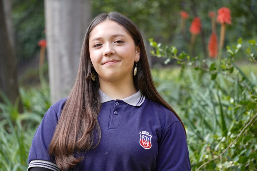 liceos emblemáticos