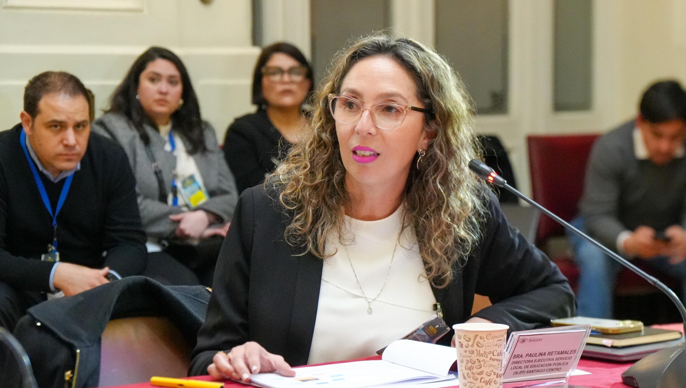 SLEP Santiago Centro expone en comisión de Educación del Senado